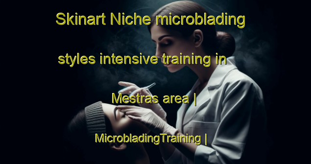 Skinart Niche microblading styles intensive training in Mestras area | MicrobladingTraining | MicrobladingClasses | SkinartTraining-Portugal